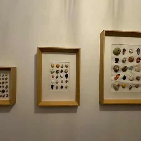 Parada En El Camino 3 *